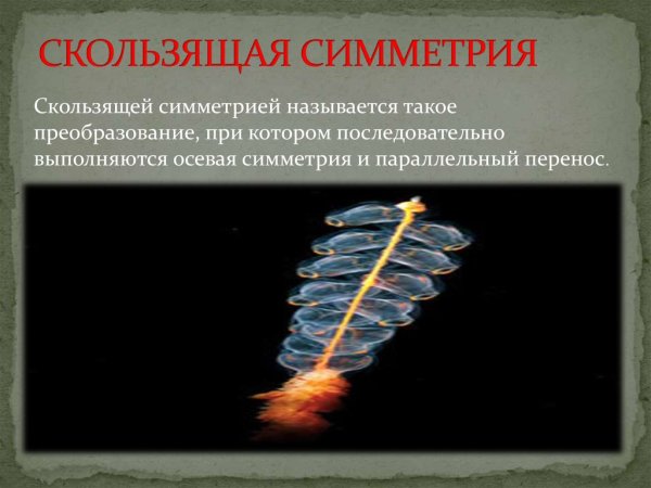 Скользящая симметрия в природе