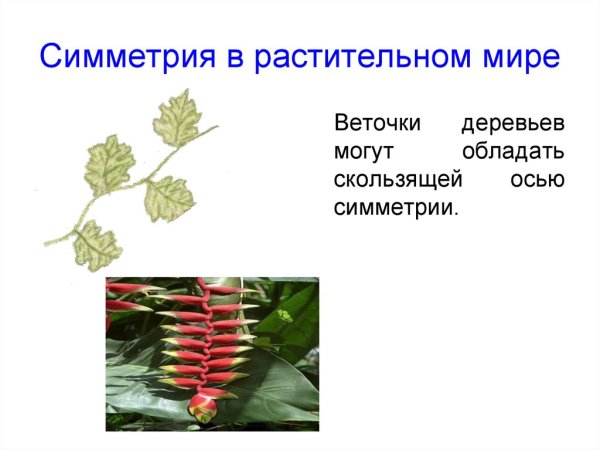 Скользящая симметрия примеры