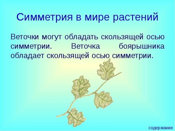 Скользящая симметрия в природе
