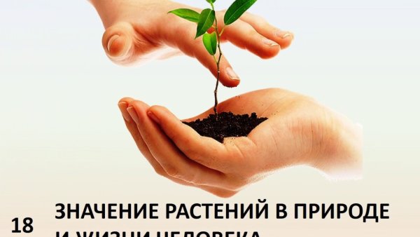 Роль растений в природе и жизни человека 5 класс