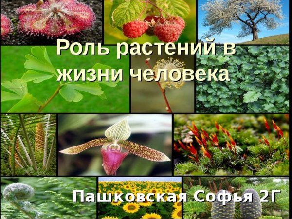 Коль растений в природе