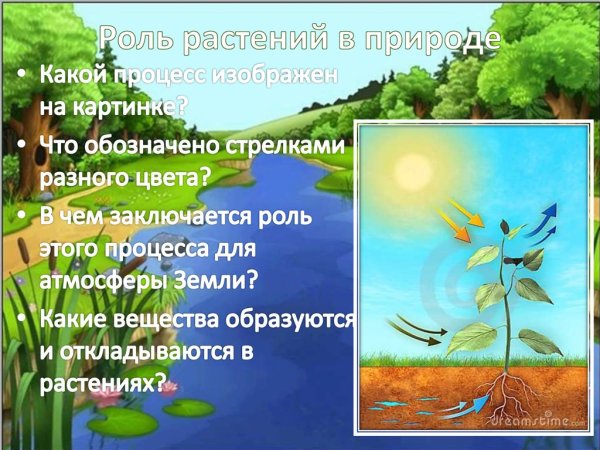 Значение растений в природе