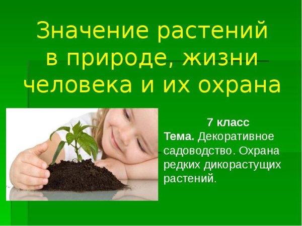 Роль растений в жизни человека