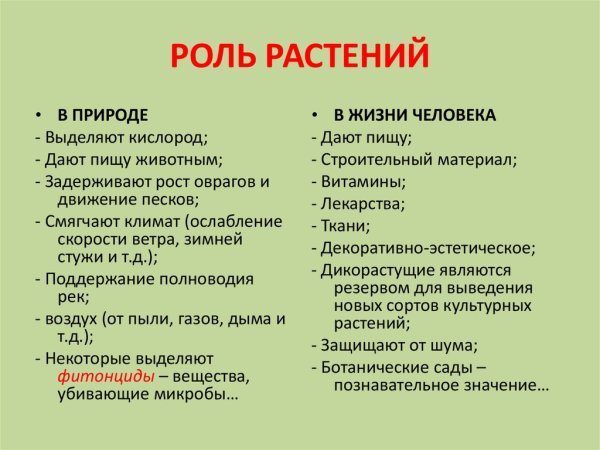 Значение растений в жизни человека