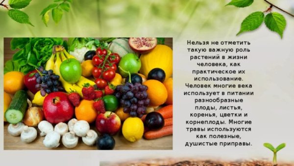 Роль природы в жизни человека