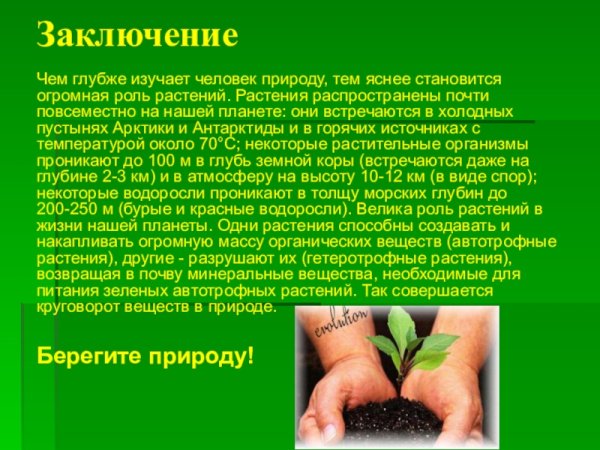 Какую роль играют растения в жизни
