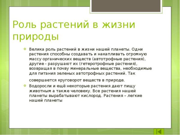Схема что дают растения животным