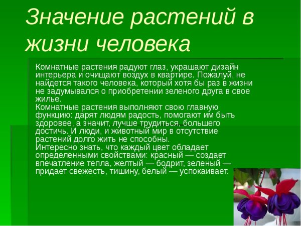 Значение растений для человека