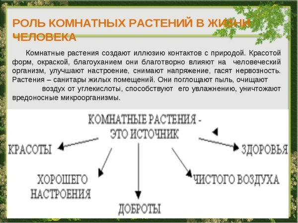 Роль растений в жизни человека