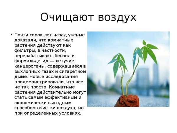 Роль растений в природе