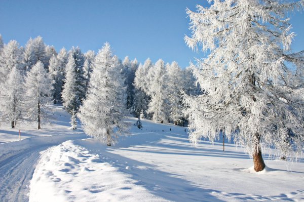 Пейзаж зима для детей