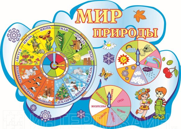 Уголок природы плакат