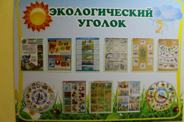 Экологический уголок