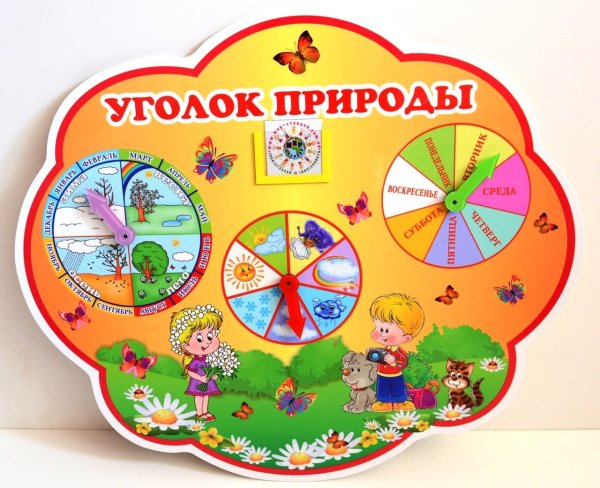 Заголовок уголок природы