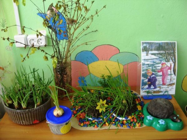 Фон для уголка природы