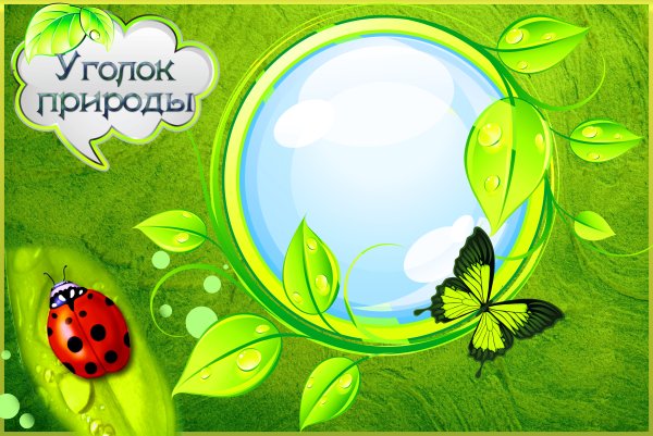 Уголок природы в младшей группе