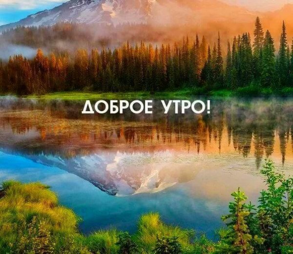 Пожелания с добрым утром с природой