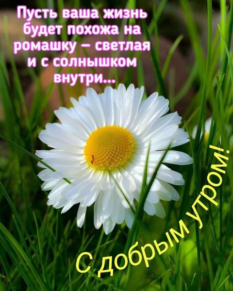 Доброе утро прекрасного дня