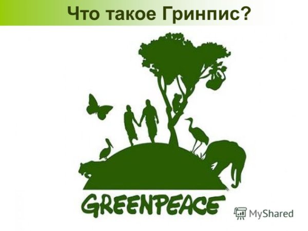 Гринпис Международная организация 4 класс окружающий мир