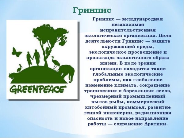 Гринпис Международная организация