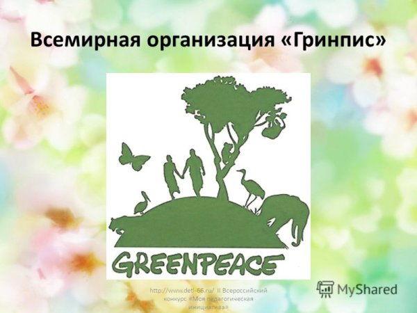 Всемирная организация Гринпис