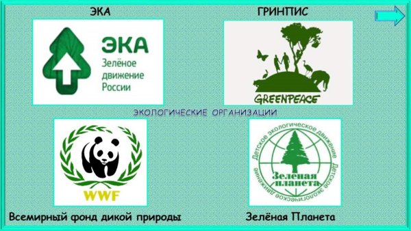 Гринпис в России