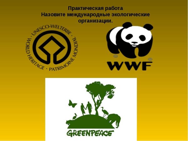 Рассказ о Международная организация Гринпис