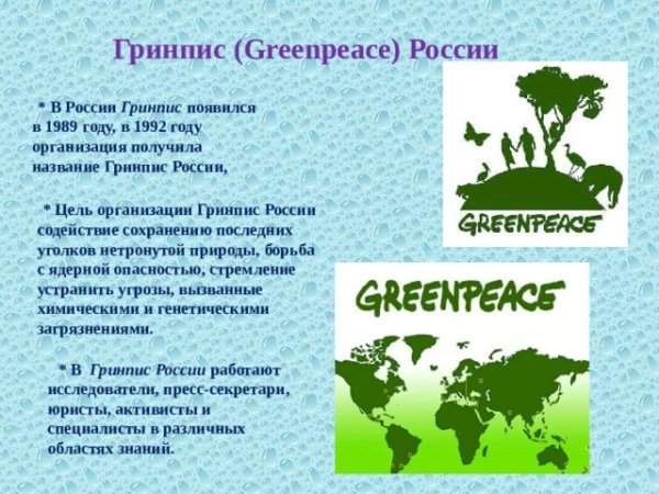 Экологическая организация Гринпис