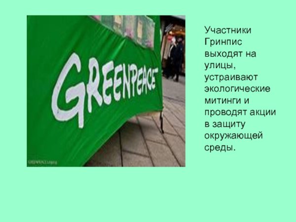 Международная экологическая организация в России