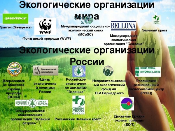 Мусор Гринпис отходы