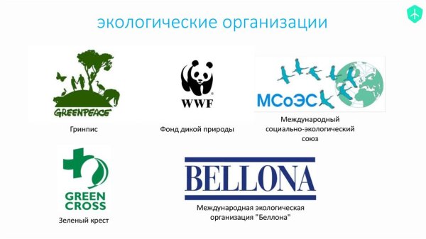 Организация Гринпис