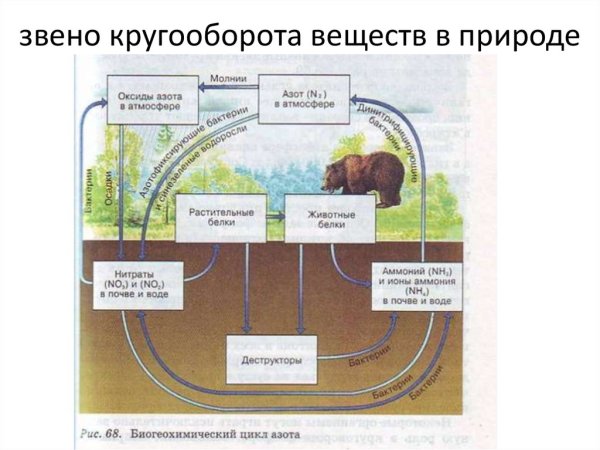 Круговорот воды в природе схема