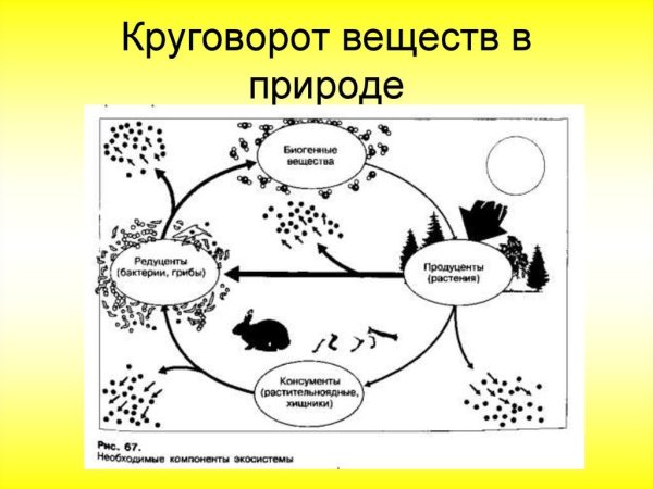 Схему переворота воды в природе