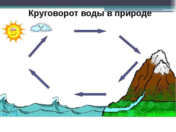 Круговорот углерода в природе