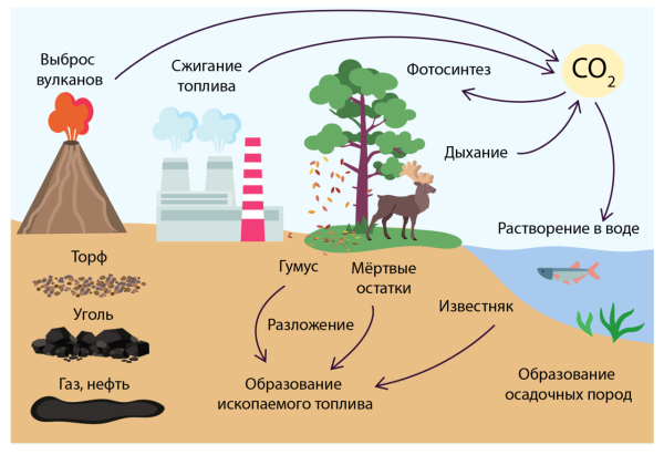 Круговорот воды рисунок