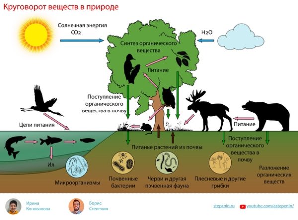 Красивые картины