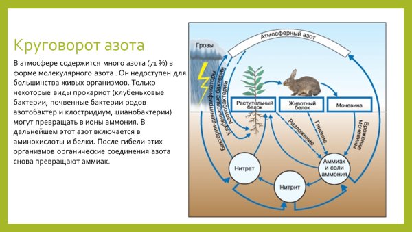 Круговорот воды в природе карандашом