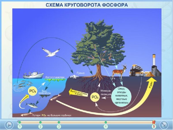 Круговорот воды