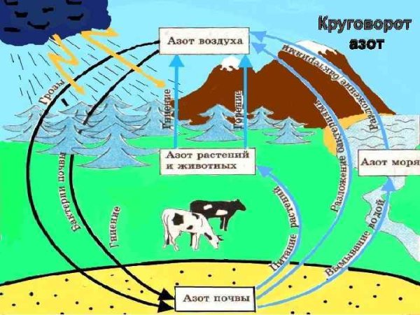 Мировой круговорот воды