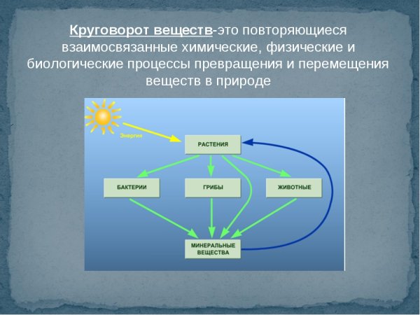 Круговорот фосфора ( по п. Дювиньо и м. Тангу )