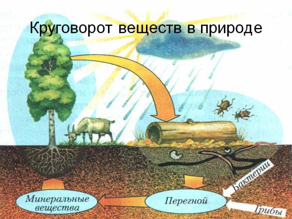 Большой круговорот воды в природе схема