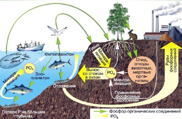 Круговорот воды в природе