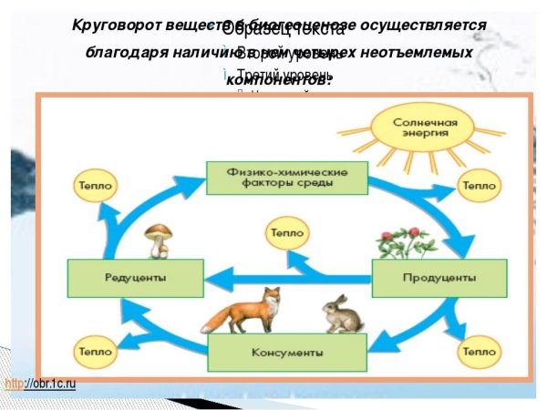Экосистема атмосфера