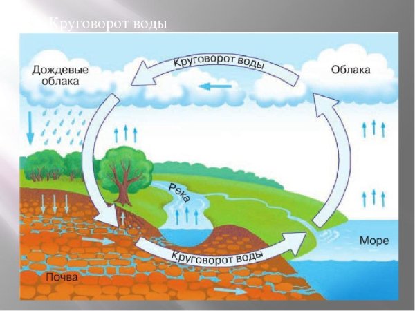 Круговорот воды в природе на прозрачном фоне
