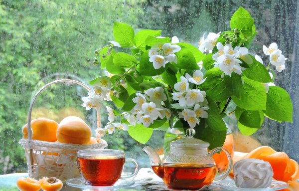 Утренние цветы