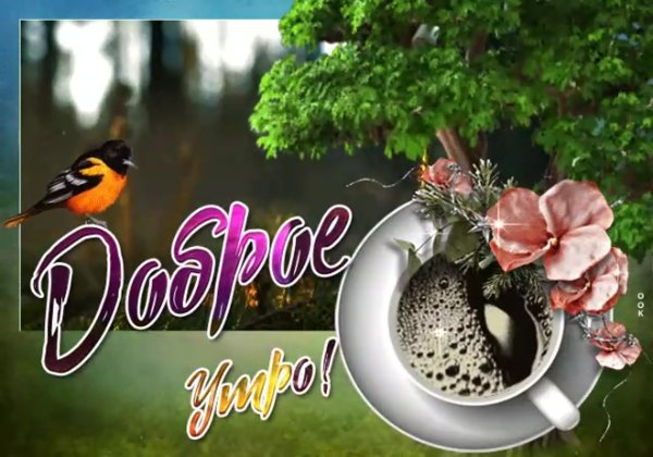 Доброе летнее утро гифки