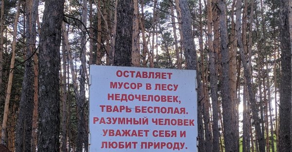 Берегите природу мать Вашу плакат