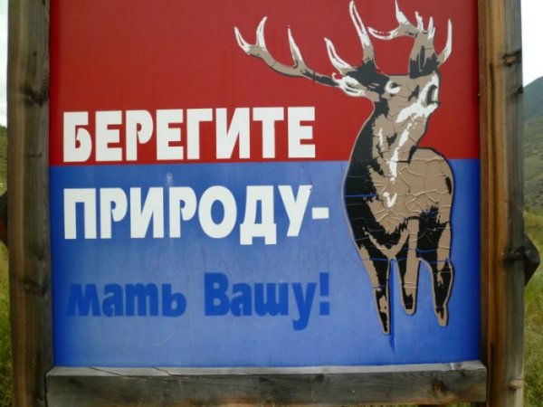 Берегите природу мать Вашу