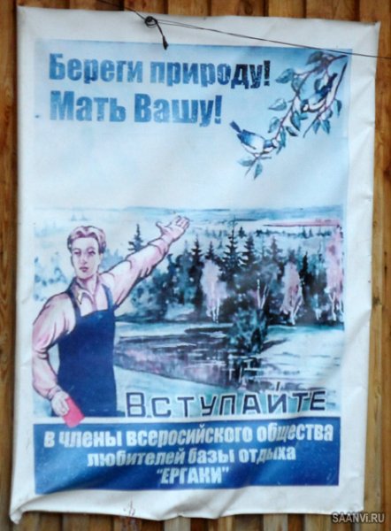 Берегите природу мать Вашу плакат