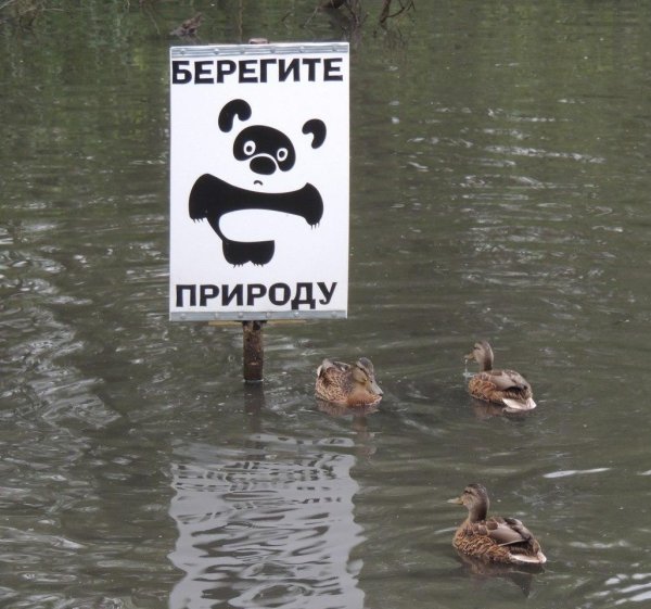 Надпись берегите природу